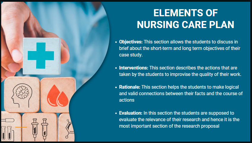 Elements that are incorporated in nursing care plan template