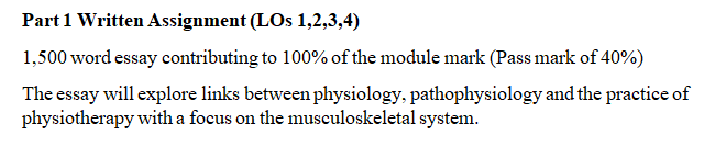 Nursing essay assessment sample question