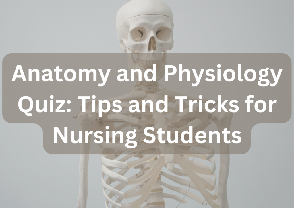 Anatomy and Physiology Quiz: Unlocking and Mastering the Secrets of the Human Body