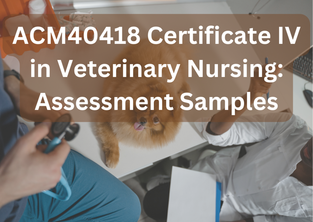 ACM40418 Assessment Answer:  Helps In Nurturing The Health And Happiness Of Our Furry Friends